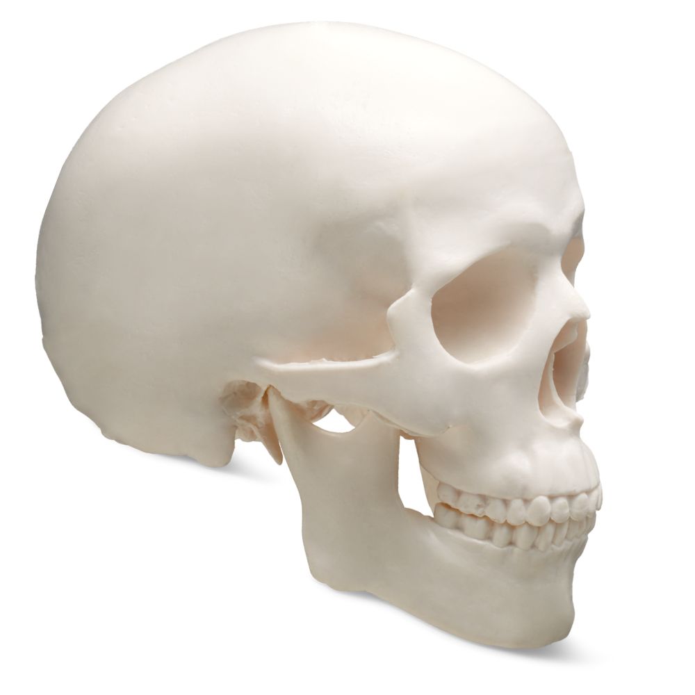 face surgery jaw