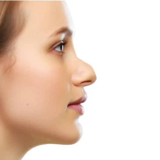 camard nose