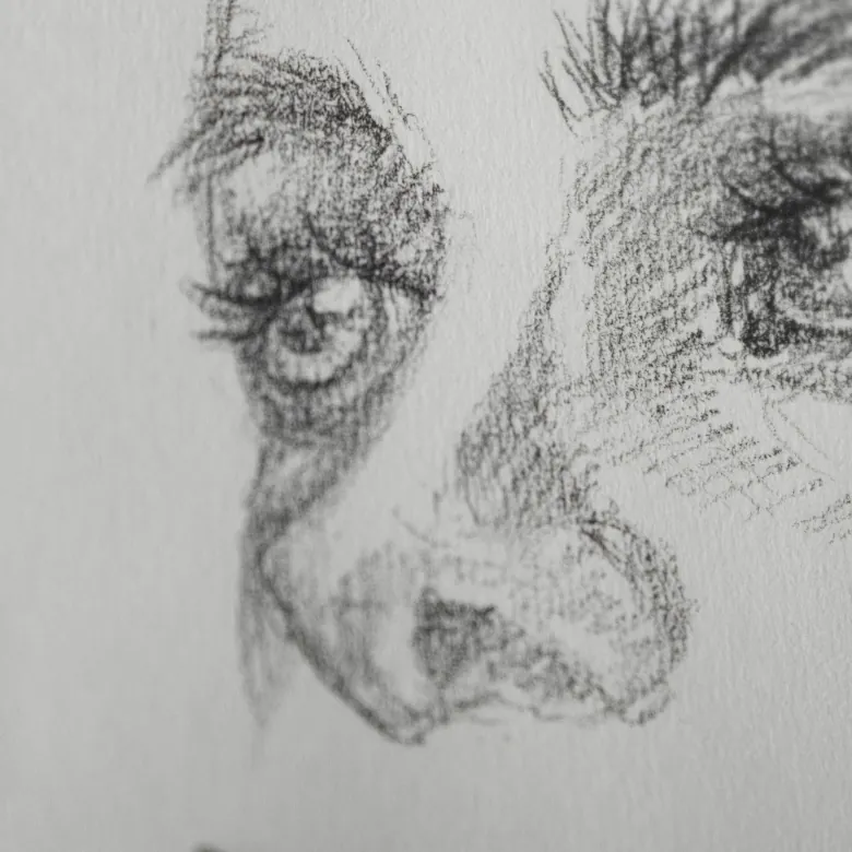 dessiner un nez